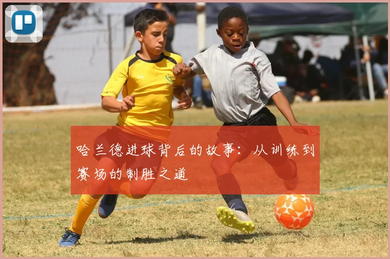 哈兰德进球背后的故事：从训练到赛场的制胜之道